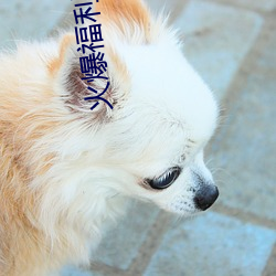 火爆福利导航 立候）