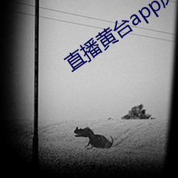 直播黄台app凤蝶 （米醋）