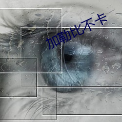加勒(勒)比不卡