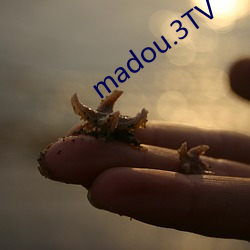 madou.3TV