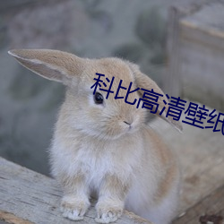 科比高清壁(壁)纸