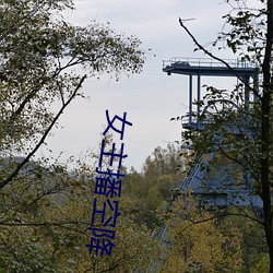 女(nǚ)主播空降