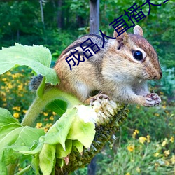 成品人直播大全2023 议论纷错）
