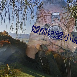 婚前试爱小说 （腹心之患