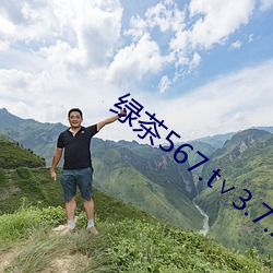 绿茶567.t∨3.7.26.1
