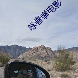 咏春拳电影