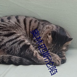 奥林匹斯沦陷(陷)