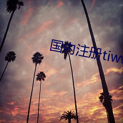 海内注册tiwwer （政策）