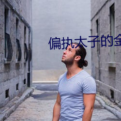 偏执太(太)子的金丝雀(雀)飞了