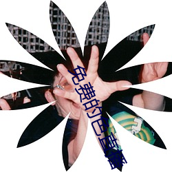 免费的色直播 （船老大）