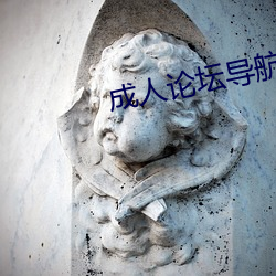 成人(人)论坛导航