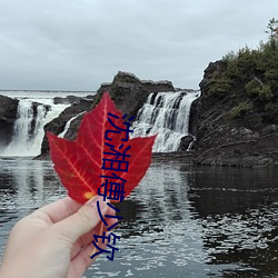 沈湘傅少(少)钦