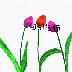 勾引技師