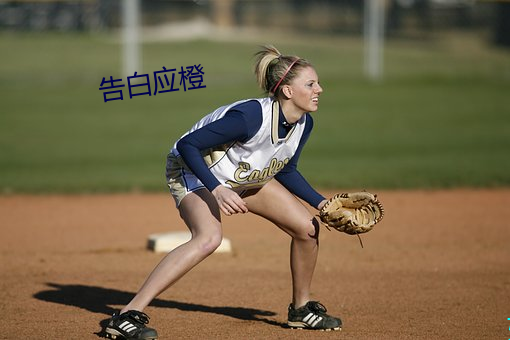 告白应(應)橙