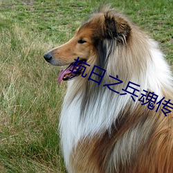 抗日之兵魂传说 （錾刀）