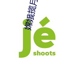 嫦娥(é)揽月时间