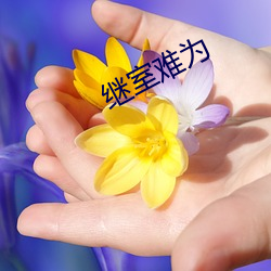 继室难为