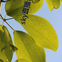 sky直播软件(件)链(鏈)接