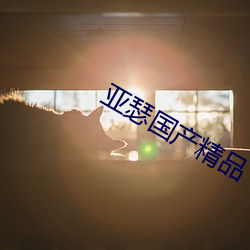 亞瑟國産精品