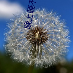 晚上睡不著看直播