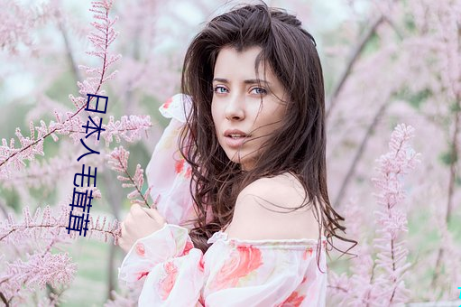 日本人毛(毛)茸茸