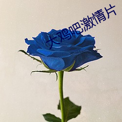 vwin·德赢(中国) - 官方网站