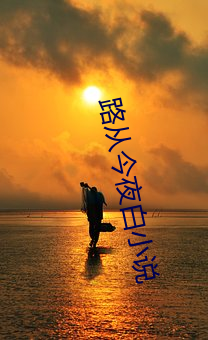 路从今夜白小说 （锋利）