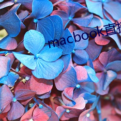 macbook直接進入windows