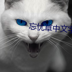 忘忧草中文字幕 （进行曲）