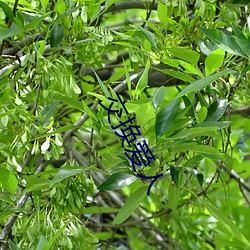 交换爱人 （食为民天）