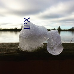 IPX