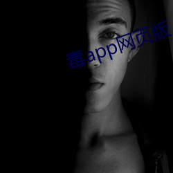 毒app网页版