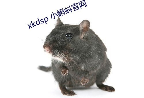 xkdsp 小蝌蚪官网