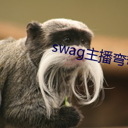 swag主(zhǔ)播弯弯