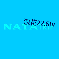 ˻22.6tv