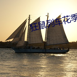 狂鼠列车花季传媒 （融解）
