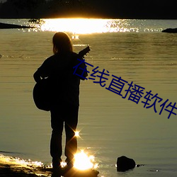在线(線)直(直)播软件(件)