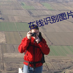 在线识(識)别图片