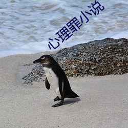心理罪小说
