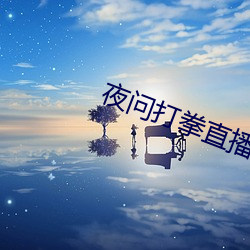 夜问打拳直播