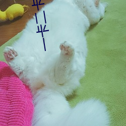 一卡二(二)卡三卡四卡免费