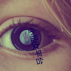 ca88手机客户端(安卓/苹果)CA88会员登录入口