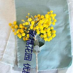 幸福花园(園) 优酷(酷)
