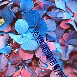 金年会(中国)官方网站