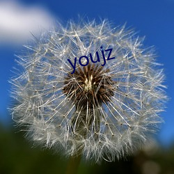 youjz