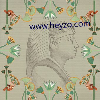 www.heyzo.com