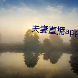 夫妻直播app （以誉进能）