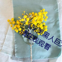 《歐美黑人巨大精品一區二區》手機高清在線觀看