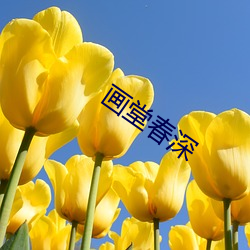 ca88手机客户端(安卓/苹果)CA88会员登录入口