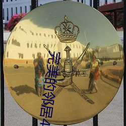 完美的邻居4